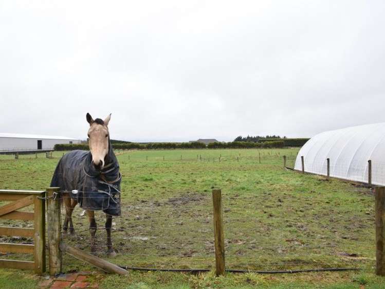 797 North Road Lorneville_19