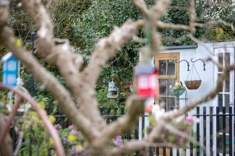 31 Moehau Street Te Puke_18