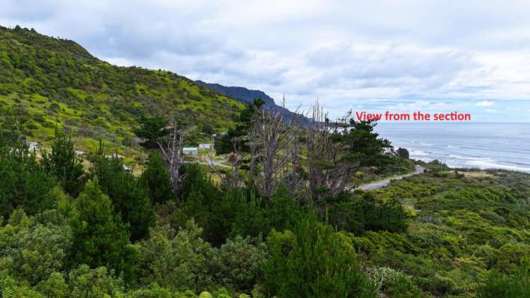 5296D State Highway 6_5