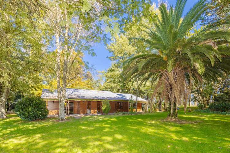 347 Old Te Kuiti Road Otorohanga_26