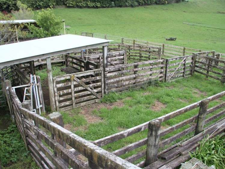 382 Awai Road Tarurutangi_13