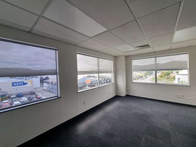 20 Pretoria street Lower Hutt Central_2
