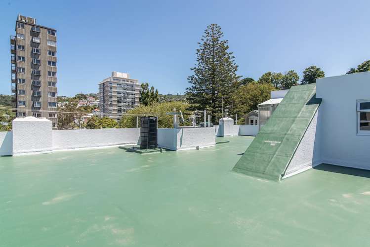 7/4 Oak Park Avenue Te Aro_10