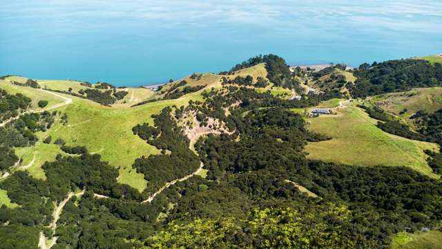 998 Thames Coast SH25 Road Thames_3