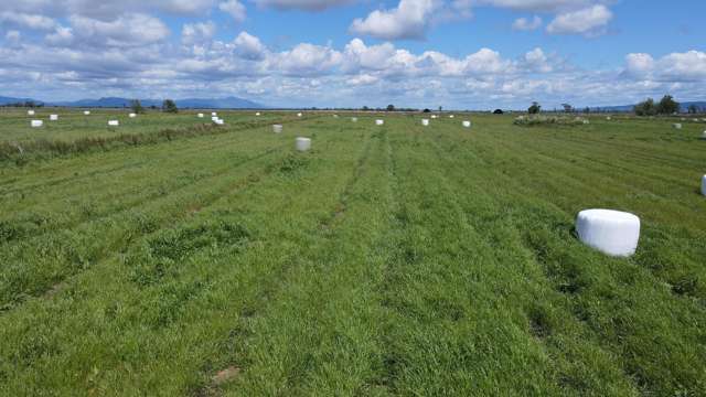 Pouarua Road Ngatea_2