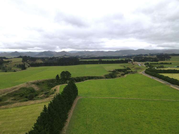 3/81 Gundries Road Norsewood Tararua Rural Property For Sale