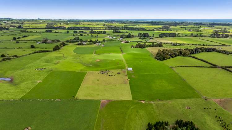 165 Oxford Road Okato_15