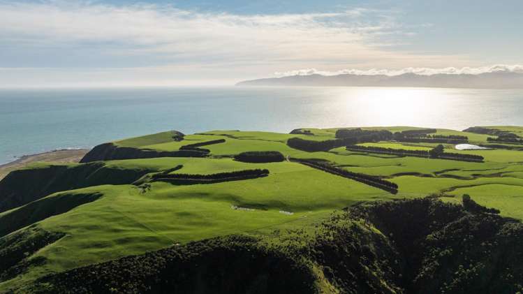 2057 Cape Palliser Road South Martinborough_1