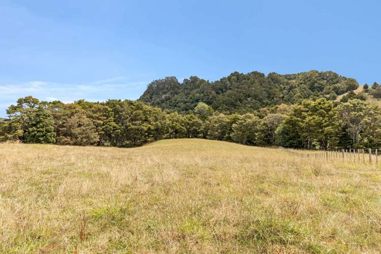 645 West Coast Road Makarau_19