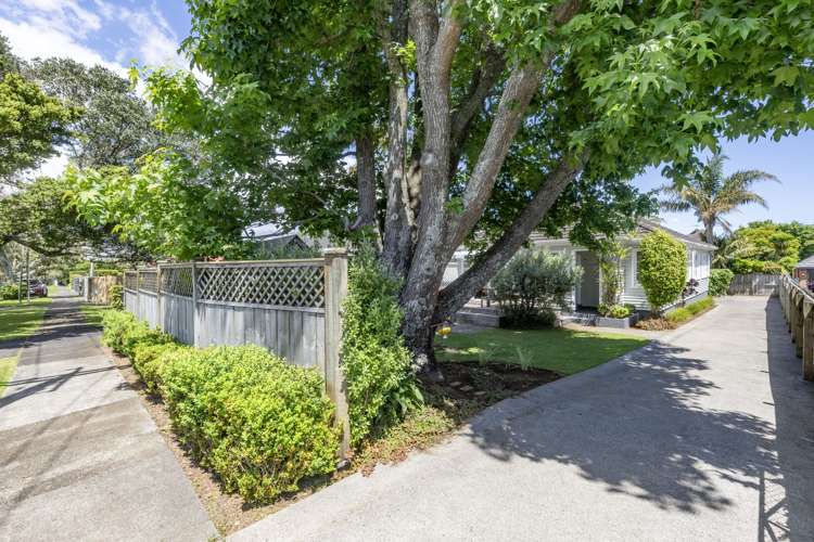 18 Rewi Road Royal Oak_16