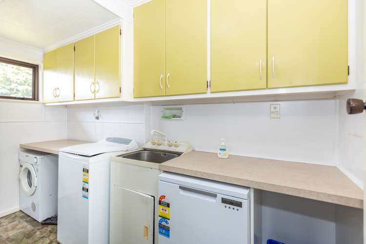 107 Lewis Street Glenview_9