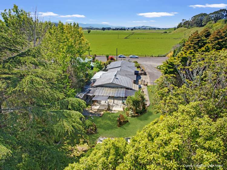 46B Edward Street_5