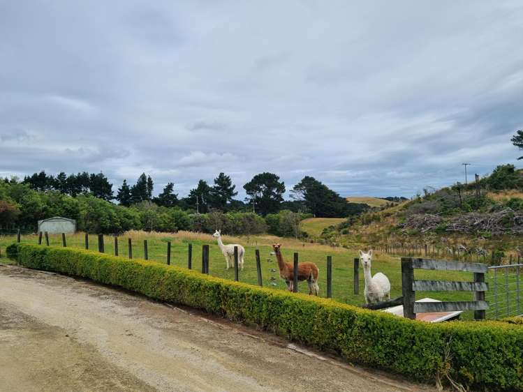 381 Horokiwi Rd Horokiwi_38