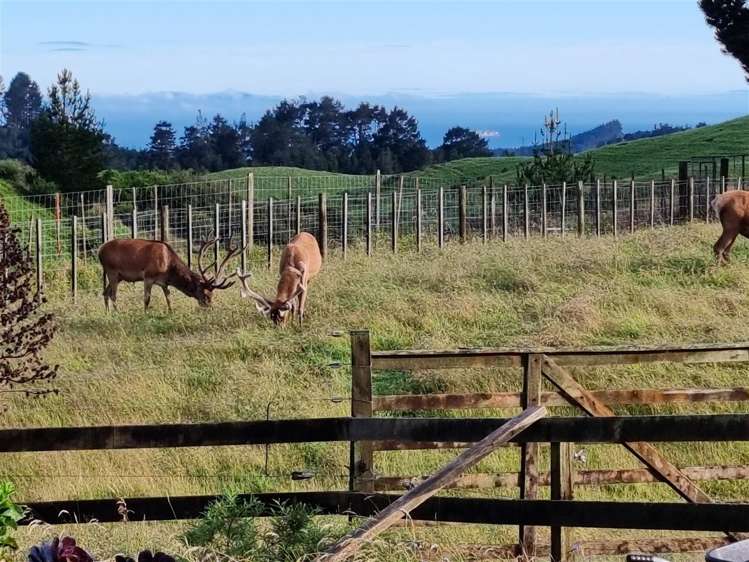 405c Rowe Road Ohauiti_20