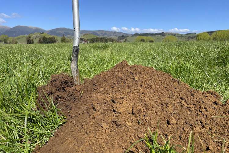 37 Karewarewa Road Rangiwahia_18