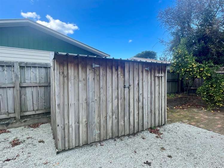 5 Hall Street Whataupoko_11