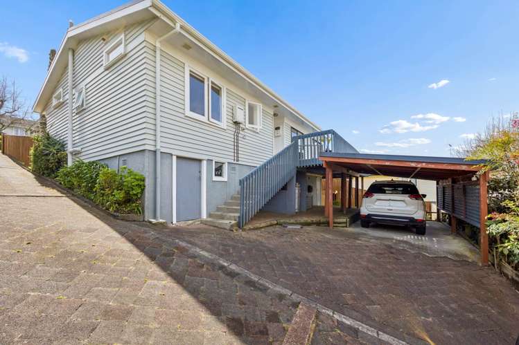7 McIlroy Avenue Hillsborough_18