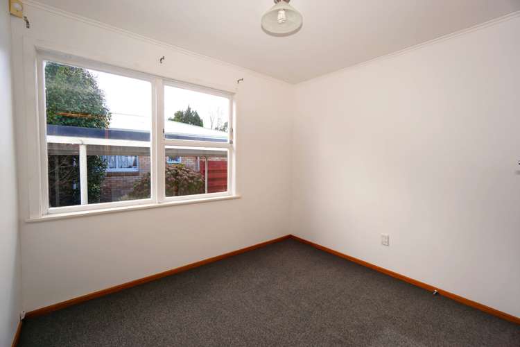 16 Carlyle Avenue Chartwell_5