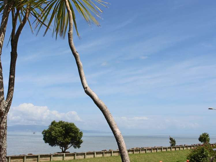 439 Fergusson Drive Thames_6