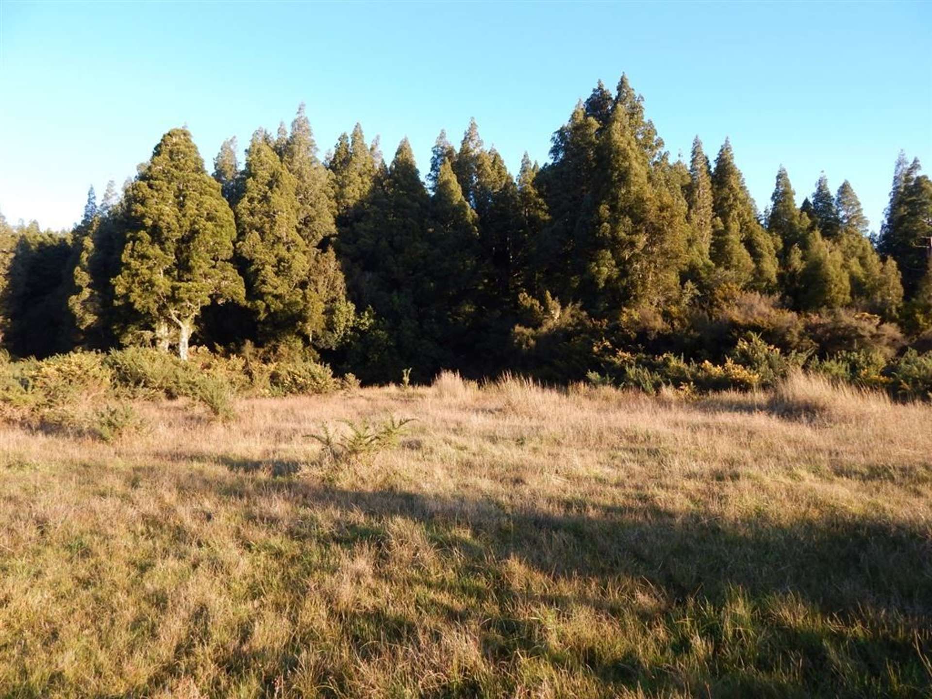 Lake Kaniere Road Kaniere_0