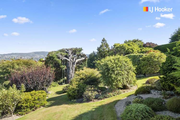 115 Belford Street Waverley_22