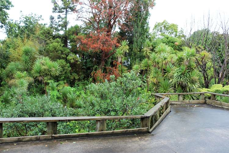 50a Awaroa Road Sunnyvale_12