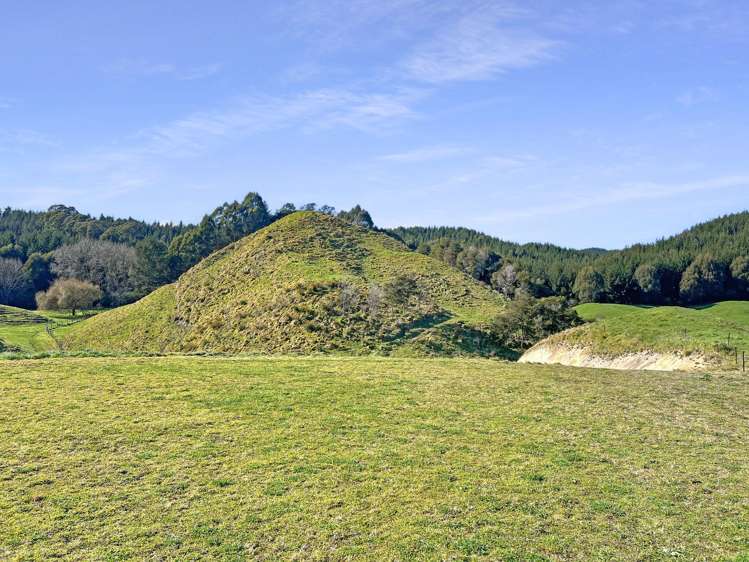 114 Otumahi Lane Whakatane_17