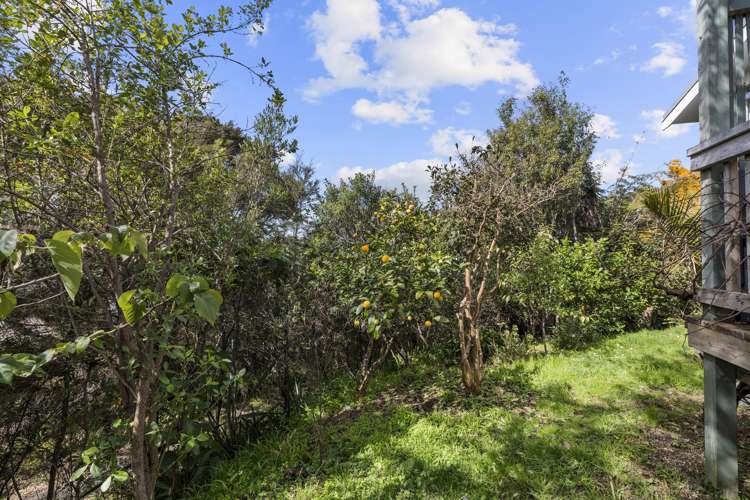 3A Snowden Place Raglan_44