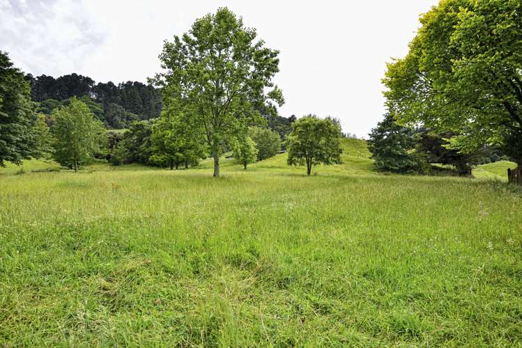 1131 Whakarau Road Te Karaka_19