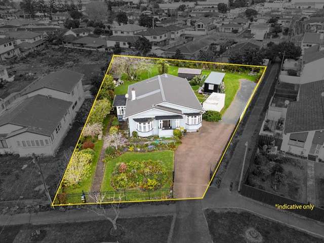 103 Fitzroy Street Papatoetoe_3