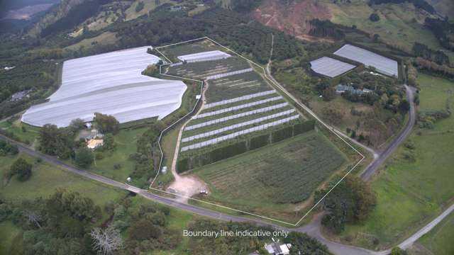 Prime Orchard Opportunity!