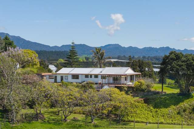 375A Esdaile Road Whakamarama_3