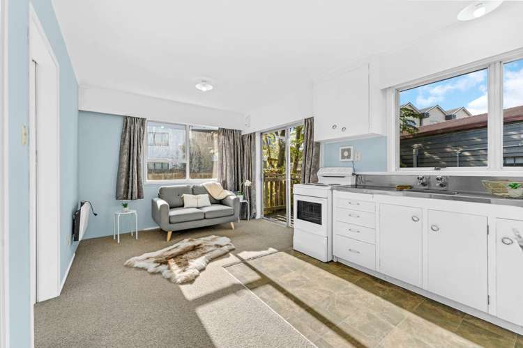 53 Henderson Valley Road Henderson_9