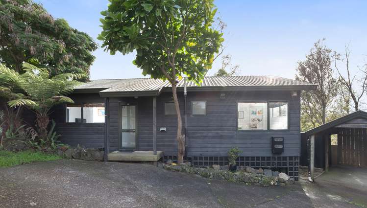 57b Herdman Street Waterview_0