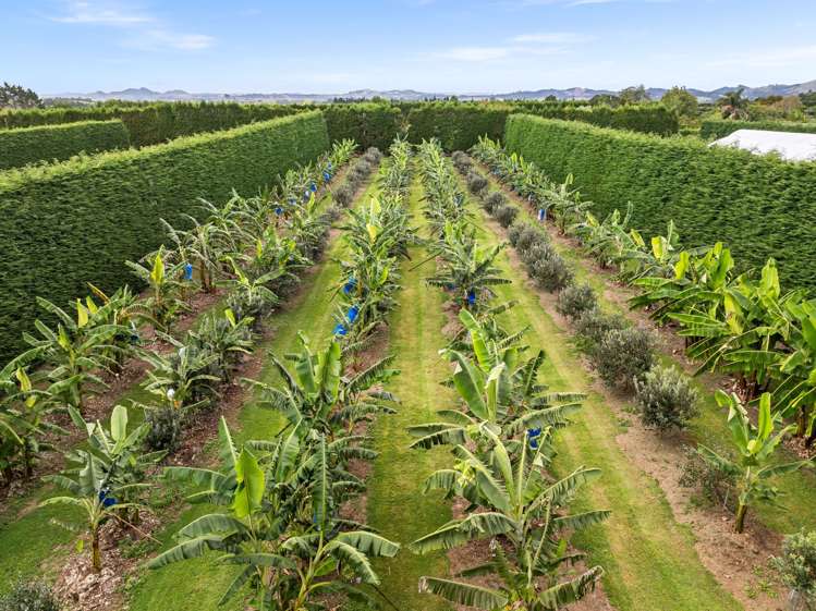 68 Snooks Road Maungatapere_16