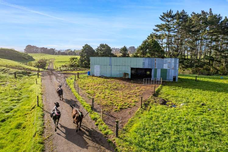 523/593 Warea Road Warea_15