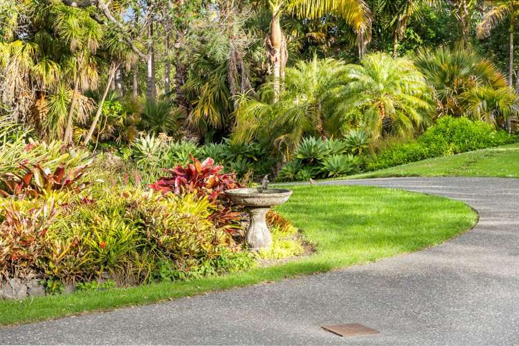 4 Point Street Scotts Landing_35