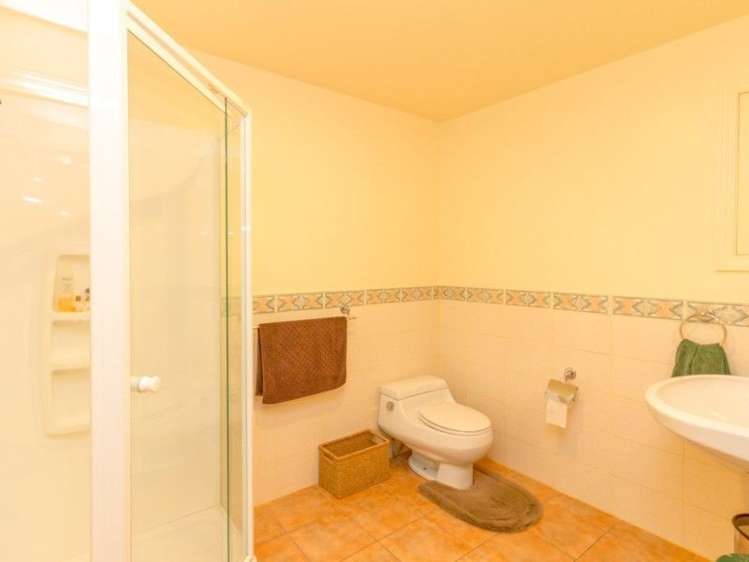 10 Hornsey Road Bluff Hill_16