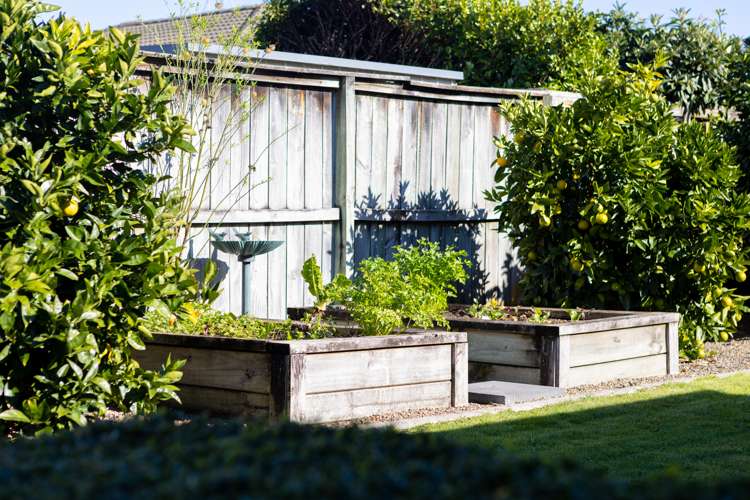 9 Damio Place Cambridge_22