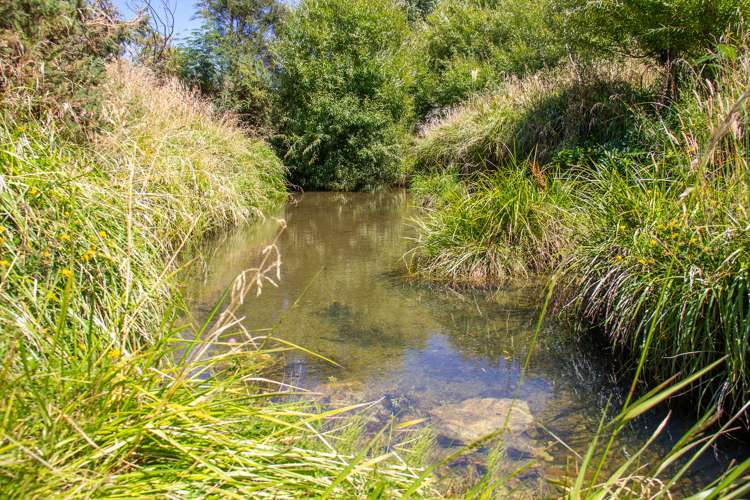 5645 Masterton Castlepoint Road Tinui_13