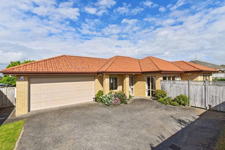 20 Girvan Terrace Wattle Downs_0