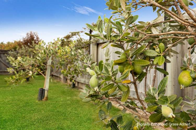 11 Buick Street Redwoodtown_22