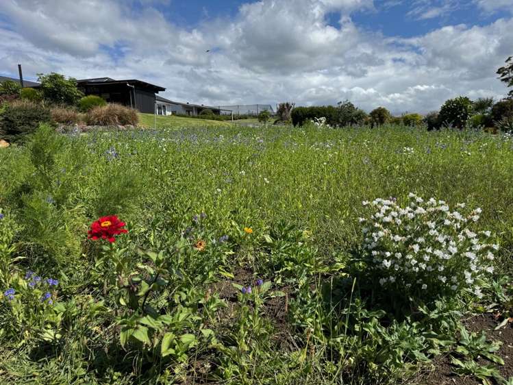 1 Bills Lane Kerikeri_31