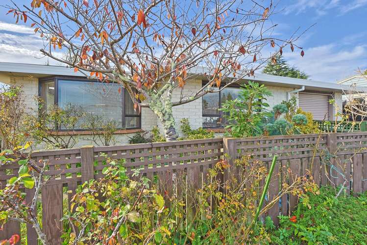 2 Danvers Street Havelock North_16