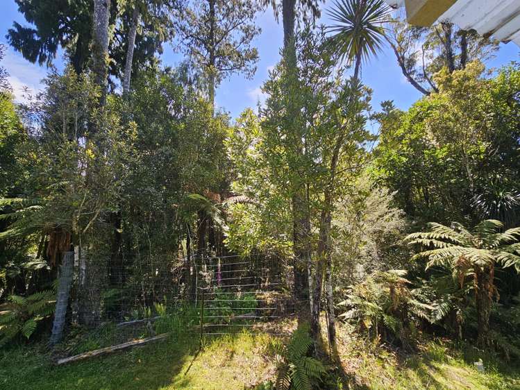 215 Clifton Road Kaiata_14