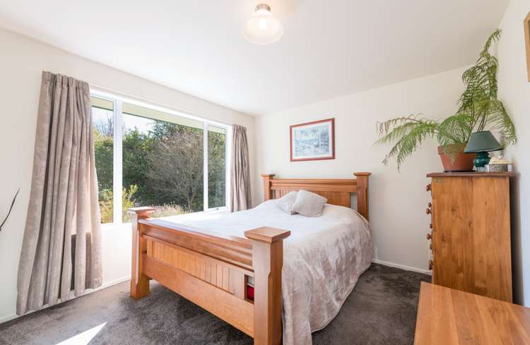 1 Tui Way Toi Toi_15