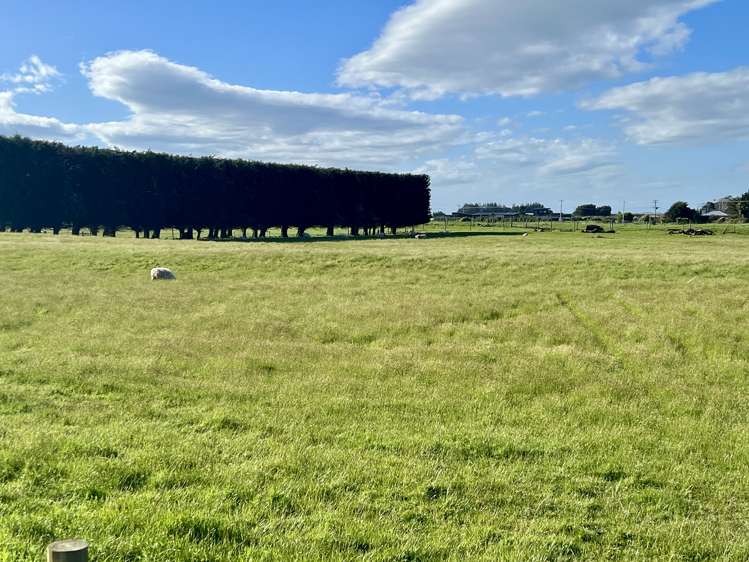 5 Ackers Road New River Ferry_13