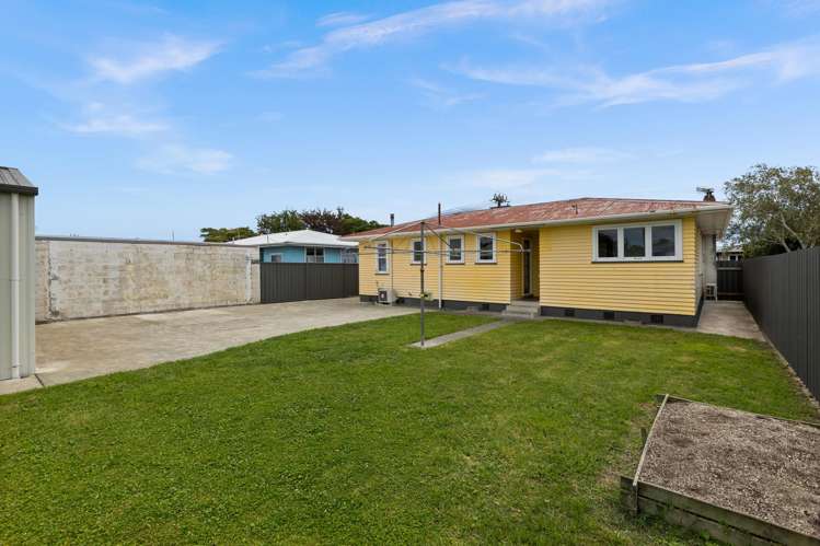 19 Alexander Avenue Onekawa_13