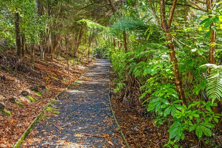 17 Korihi Drive Swanson_26