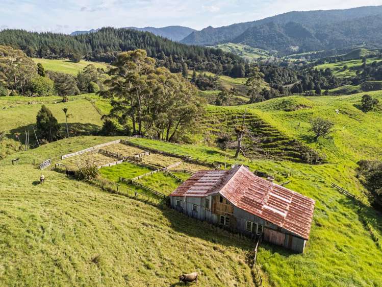 109 Paponga Road_3